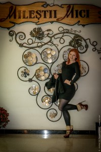 DSC_1230