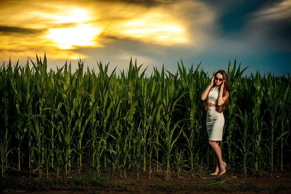 Девушка дрочит киску в кукурузном поле